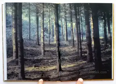 Sample page 3 for book "Serra Costa, Rita Puig – Rita Puig Serra Costa - Where Mimosa Bloom" Sample page 3 for book "Serra Costa, Rita Puig – Rita Puig Serra Costa - Where Mimosa Bloom"