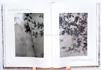 Sample page 3 for book "Leardini, Massimo – Massimo Leardini - Catarsi" Sample page 3 for book "Leardini, Massimo – Massimo Leardini - Catarsi"