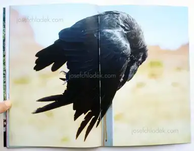 Sample page 2 for book "Klouche, Younés – Younés Klouche - Orphée" Sample page 2 for book "Klouche, Younés – Younés Klouche - Orphée"