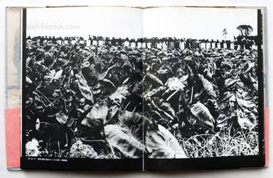 Sample page 12 for book  Tadao Mitome – Sanrizuka - Moeru Hokuso daichi / Document 1966-1971 (三留 理男 三里塚 -燃える北総台地)