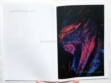 Sample page 4 for book "Santerre, Francois – Francois Santerre - Aisthesis" Sample page 4 for book "Santerre, Francois – Francois Santerre - Aisthesis"