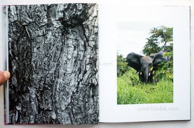 Sample page 16 for book "Calabrese, Alessandro & Milo Montelli – Alessandro Calabrese and Milo Montelli - A Drop In the Ocean" Sample page 16 for book "Calabrese, Alessandro & Milo Montelli – Alessandro Calabrese and Milo Montelli - A Drop In the Ocean"