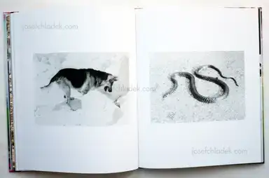 Sample page 10 for book "Calabrese, Alessandro & Milo Montelli – Alessandro Calabrese and Milo Montelli - A Drop In the Ocean" Sample page 10 for book "Calabrese, Alessandro & Milo Montelli – Alessandro Calabrese and Milo Montelli - A Drop In the Ocean"