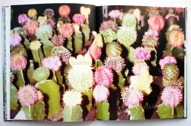 Sample page 8 for book "Calabrese, Alessandro & Milo Montelli – Alessandro Calabrese and Milo Montelli - A Drop In the Ocean" Sample page 8 for book "Calabrese, Alessandro & Milo Montelli – Alessandro Calabrese and Milo Montelli - A Drop In the Ocean"