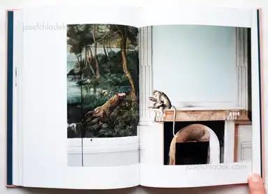 Sample page 3 for book "Catastini, Francesca – Francesca Catastini - The Modern Spirit is Vivisective" Sample page 3 for book "Catastini, Francesca – Francesca Catastini - The Modern Spirit is Vivisective"