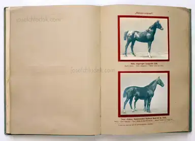 Sample page 15 for book "Deutsche Landwirtschafts-Gesellschaft (Hg.) – Deutsche Landwirtschafts-Gesellschaft (Ed.) - Deutsche Tierrassen" Sample page 15 for book "Deutsche Landwirtschafts-Gesellschaft (Hg.) – Deutsche Landwirtschafts-Gesellschaft (Ed.) - Deutsche Tierrassen"