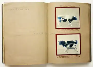 Sample page 12 for book "Deutsche Landwirtschafts-Gesellschaft (Hg.) – Deutsche Landwirtschafts-Gesellschaft (Ed.) - Deutsche Tierrassen" Sample page 12 for book "Deutsche Landwirtschafts-Gesellschaft (Hg.) – Deutsche Landwirtschafts-Gesellschaft (Ed.) - Deutsche Tierrassen"