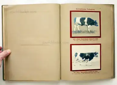 Sample page 11 for book "Deutsche Landwirtschafts-Gesellschaft (Hg.) – Deutsche Landwirtschafts-Gesellschaft (Ed.) - Deutsche Tierrassen" Sample page 11 for book "Deutsche Landwirtschafts-Gesellschaft (Hg.) – Deutsche Landwirtschafts-Gesellschaft (Ed.) - Deutsche Tierrassen"