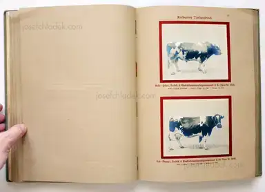 Sample page 10 for book "Deutsche Landwirtschafts-Gesellschaft (Hg.) – Deutsche Landwirtschafts-Gesellschaft (Ed.) - Deutsche Tierrassen" Sample page 10 for book "Deutsche Landwirtschafts-Gesellschaft (Hg.) – Deutsche Landwirtschafts-Gesellschaft (Ed.) - Deutsche Tierrassen"