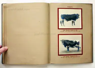 Sample page 9 for book "Deutsche Landwirtschafts-Gesellschaft (Hg.) – Deutsche Landwirtschafts-Gesellschaft (Ed.) - Deutsche Tierrassen" Sample page 9 for book "Deutsche Landwirtschafts-Gesellschaft (Hg.) – Deutsche Landwirtschafts-Gesellschaft (Ed.) - Deutsche Tierrassen"