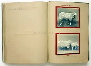 Sample page 5 for book "Deutsche Landwirtschafts-Gesellschaft (Hg.) – Deutsche Landwirtschafts-Gesellschaft (Ed.) - Deutsche Tierrassen" Sample page 5 for book "Deutsche Landwirtschafts-Gesellschaft (Hg.) – Deutsche Landwirtschafts-Gesellschaft (Ed.) - Deutsche Tierrassen"