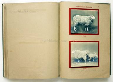 Sample page 14 for book  Deutsche Landwirtschafts-Gesellschaft (Hg.) – Deutsche Tierrassen