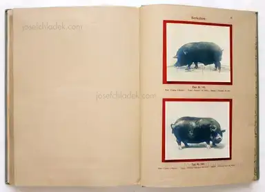 Sample page 2 for book "Deutsche Landwirtschafts-Gesellschaft (Hg.) – Deutsche Landwirtschafts-Gesellschaft (Ed.) - Deutsche Tierrassen" Sample page 2 for book "Deutsche Landwirtschafts-Gesellschaft (Hg.) – Deutsche Landwirtschafts-Gesellschaft (Ed.) - Deutsche Tierrassen"