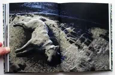 Sample page 3 for book "Casulá, Carma – Carma Casulá - Peter" Sample page 3 for book "Casulá, Carma – Carma Casulá - Peter"