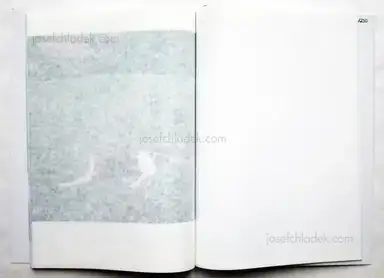 Sample page 3 for book "Simonassi, Rosana – Rosana Simonassi - Reconstruccion" Sample page 3 for book "Simonassi, Rosana – Rosana Simonassi - Reconstruccion"