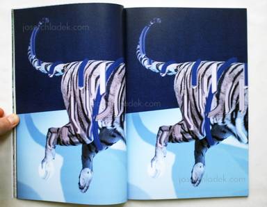 Sample page 10 for book "Wierzchowiecka, Justyna – Justyna Wierzchowiecka - Museum Studies" Sample page 10 for book "Wierzchowiecka, Justyna – Justyna Wierzchowiecka - Museum Studies"