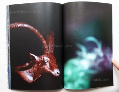 Sample page 4 for book "Wierzchowiecka, Justyna – Justyna Wierzchowiecka - Museum Studies" Sample page 4 for book "Wierzchowiecka, Justyna – Justyna Wierzchowiecka - Museum Studies"