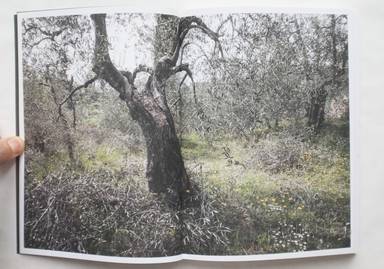Sample page 1 for book  Martino Marangoni – Nonni's Paradiso - An Olive Tree Story