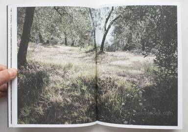 Sample page 5 for book  Martino Marangoni – Nonni's Paradiso - An Olive Tree Story