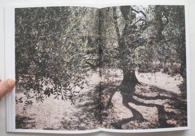 Sample page 8 for book  Martino Marangoni – Nonni's Paradiso - An Olive Tree Story