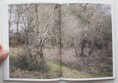 Sample page 11 for book  Martino Marangoni – Nonni's Paradiso - An Olive Tree Story