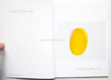 Sample page 11 for book "Seufert, Stefanie – Stefanie Seufert - Wood Survives in the Form of Postholes" Sample page 11 for book "Seufert, Stefanie – Stefanie Seufert - Wood Survives in the Form of Postholes"