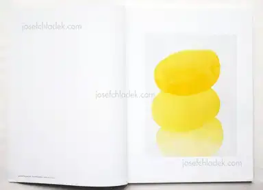 Sample page 10 for book "Seufert, Stefanie – Stefanie Seufert - Wood Survives in the Form of Postholes" Sample page 10 for book "Seufert, Stefanie – Stefanie Seufert - Wood Survives in the Form of Postholes"