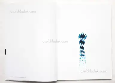 Sample page 9 for book "Seufert, Stefanie – Stefanie Seufert - Wood Survives in the Form of Postholes" Sample page 9 for book "Seufert, Stefanie – Stefanie Seufert - Wood Survives in the Form of Postholes"