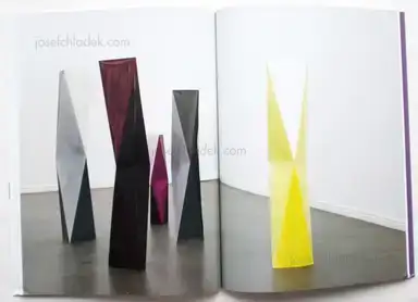 Sample page 1 for book "Seufert, Stefanie – Stefanie Seufert - Wood Survives in the Form of Postholes" Sample page 1 for book "Seufert, Stefanie – Stefanie Seufert - Wood Survives in the Form of Postholes"