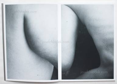 Sample page 1 for book  Massimo Leardini – Primitive