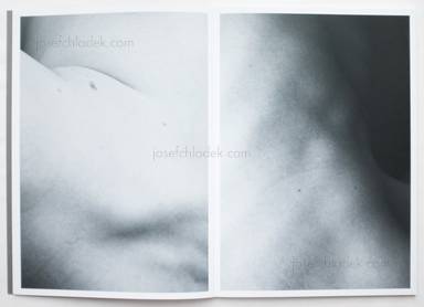 Sample page 3 for book  Massimo Leardini &ndash; Primitive