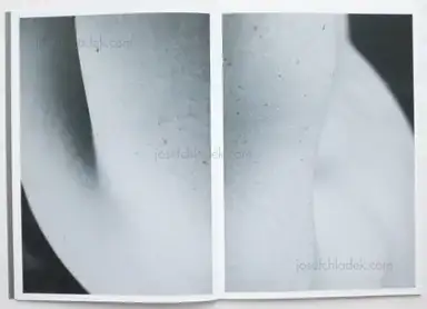 Sample page 12 for book "Leardini, Massimo – Massimo Leardini - Primitive" Sample page 12 for book "Leardini, Massimo – Massimo Leardini - Primitive"