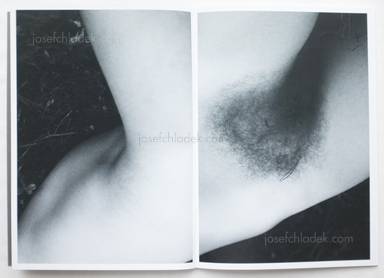 Sample page 5 for book  Massimo Leardini – Primitive