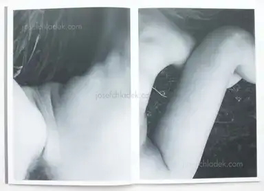 Sample page 8 for book "Leardini, Massimo – Massimo Leardini - Primitive" Sample page 8 for book "Leardini, Massimo – Massimo Leardini - Primitive"