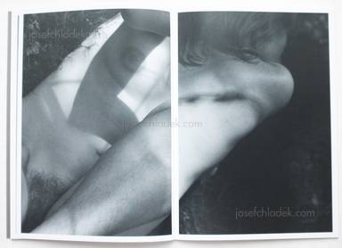 Sample page 10 for book  Massimo Leardini &ndash; Primitive