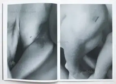 Sample page 3 for book "Leardini, Massimo – Massimo Leardini - Primitive" Sample page 3 for book "Leardini, Massimo – Massimo Leardini - Primitive"