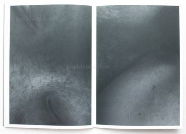 Sample page 15 for book  Massimo Leardini &ndash; Primitive