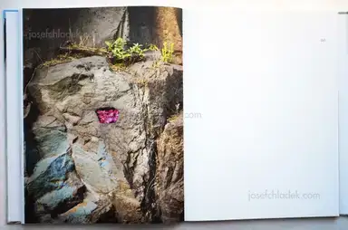 Sample page 5 for book "MacLean, John – John MacLean - Hometowns" Sample page 5 for book "MacLean, John – John MacLean - Hometowns"