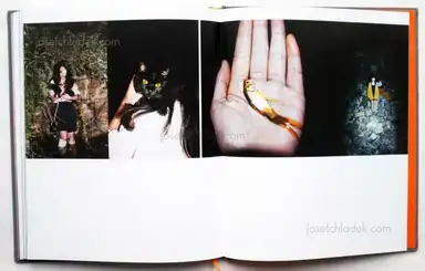 Sample page 2 for book "Nv, Bing – Bing Nv (病女) - Embers" Sample page 2 for book "Nv, Bing – Bing Nv (病女) - Embers"