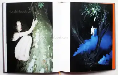 Sample page 1 for book "Nv, Bing – Bing Nv (病女) - Embers" Sample page 1 for book "Nv, Bing – Bing Nv (病女) - Embers"