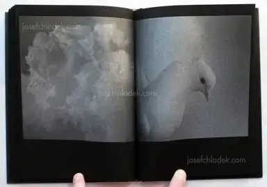 Sample page 4 for book "Koenning, Katryn & Sarker Protick – Katrin Koenning & Sarker Protick - Astres Noir" Sample page 4 for book "Koenning, Katryn & Sarker Protick – Katrin Koenning & Sarker Protick - Astres Noir"