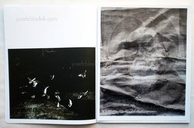 Sample page 13 for book "Balcus, Arnis – Arnis Balcus - Victory Park" Sample page 13 for book "Balcus, Arnis – Arnis Balcus - Victory Park"