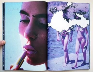 Sample page 12 for book "Feuerhelm, Brad – Brad Feuerhelm - Goodbye America" Sample page 12 for book "Feuerhelm, Brad – Brad Feuerhelm - Goodbye America"