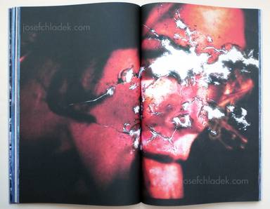 Sample page 9 for book "Feuerhelm, Brad – Brad Feuerhelm - Goodbye America" Sample page 9 for book "Feuerhelm, Brad – Brad Feuerhelm - Goodbye America"