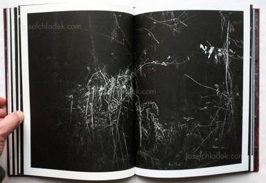 Sample page 8 for book  Laia Abril &ndash; Lobismuller