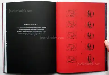 Sample page 4 for book "Abril, Laia – Laia Abril - Lobismuller" Sample page 4 for book "Abril, Laia – Laia Abril - Lobismuller"