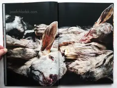 Sample page 16 for book "Cuevas, José Luis – José Luis Cuevas - New Era" Sample page 16 for book "Cuevas, José Luis – José Luis Cuevas - New Era"