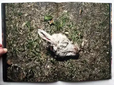 Sample page 8 for book "Cuevas, José Luis – José Luis Cuevas - New Era" Sample page 8 for book "Cuevas, José Luis – José Luis Cuevas - New Era"