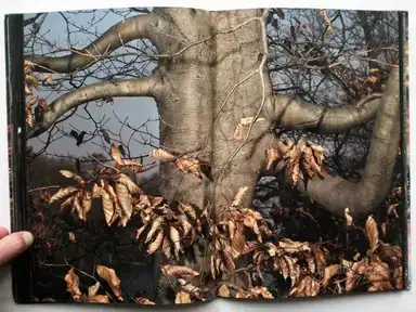 Sample page 7 for book "Cuevas, José Luis – José Luis Cuevas - New Era" Sample page 7 for book "Cuevas, José Luis – José Luis Cuevas - New Era"