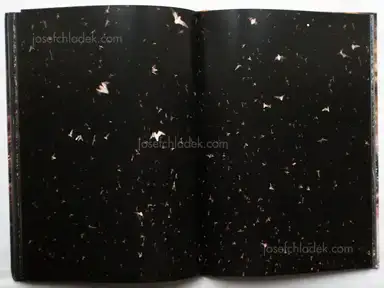 Sample page 5 for book "Cuevas, José Luis – José Luis Cuevas - New Era" Sample page 5 for book "Cuevas, José Luis – José Luis Cuevas - New Era"